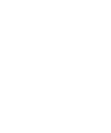 ЦИБ
